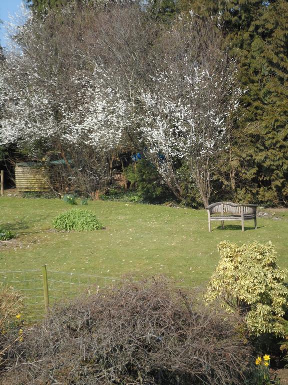 Gages Mill Otel Ashburton Dış mekan fotoğraf